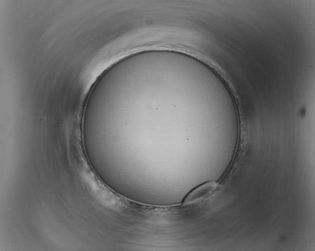 X0000115561530200911271445