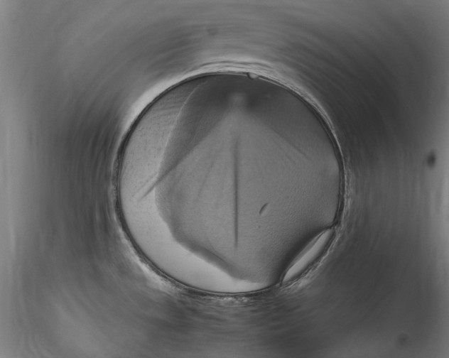 X0000115561533200911271445