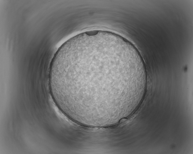 X0000115561534200911271445