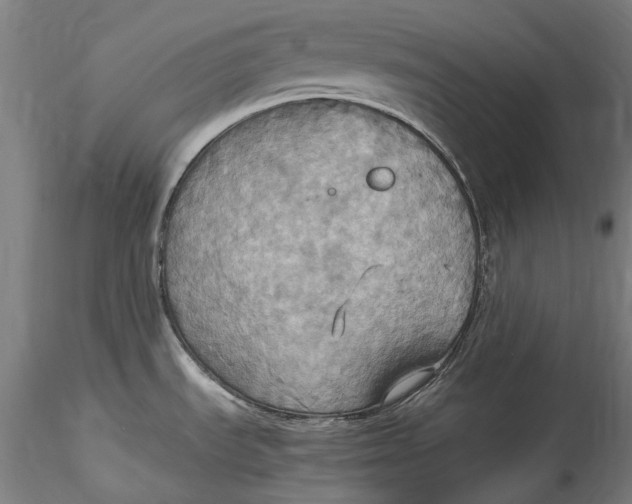 X0000115561535200911271445