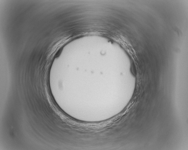 X0000115560001200912041103