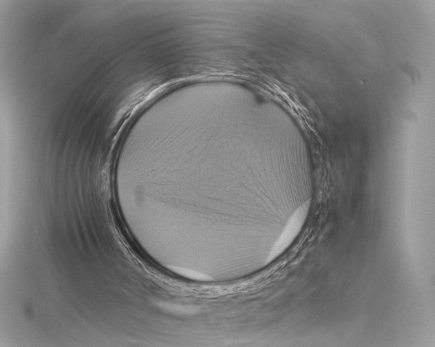 X0000115560002200912041103