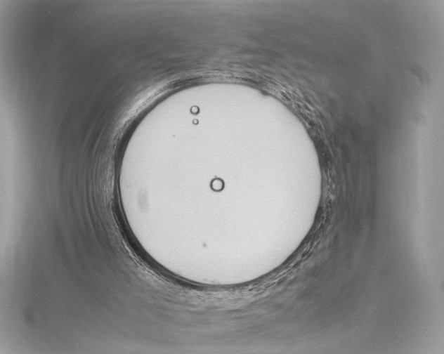 X0000115560005200912041103