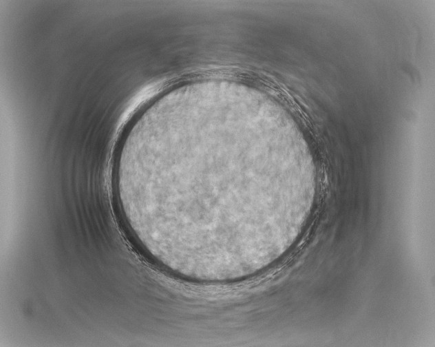 X0000115560006200912041103