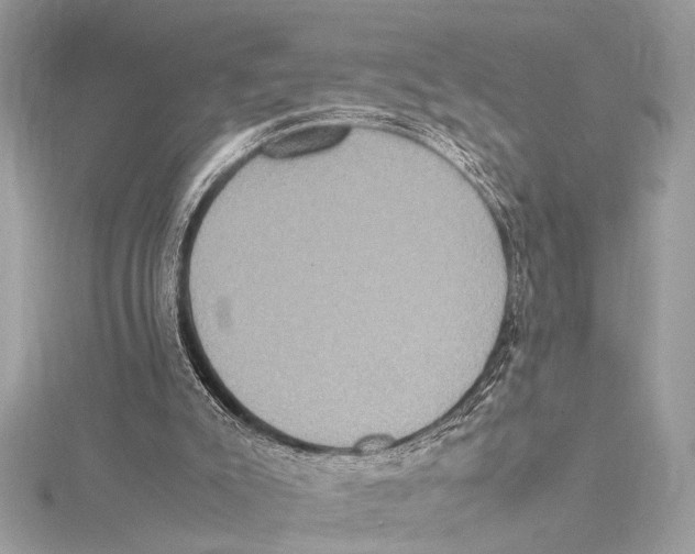 X0000115560007200912041103