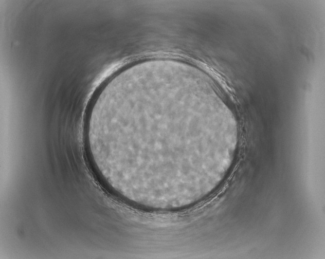 X0000115560008200912041103