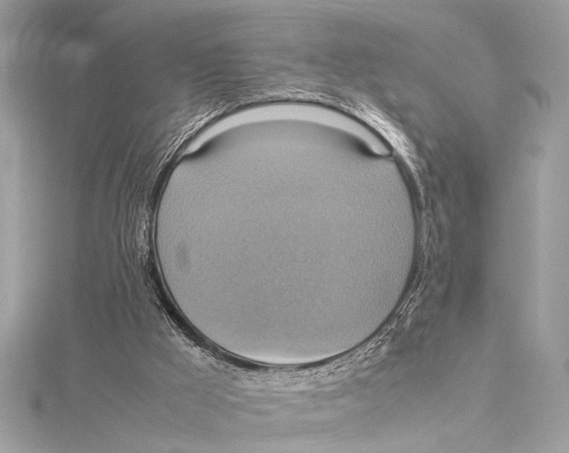 X0000115560009200912041103