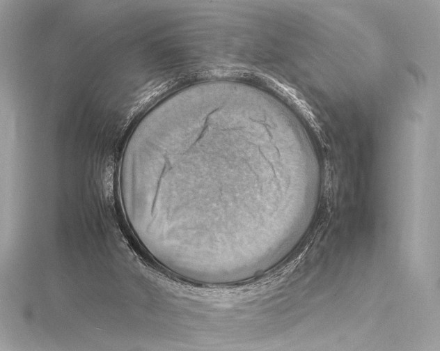 X0000115560010200912041103