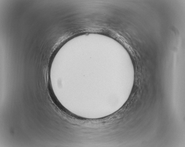 X0000115560011200912041103