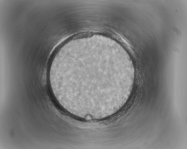 X0000115560012200912041102