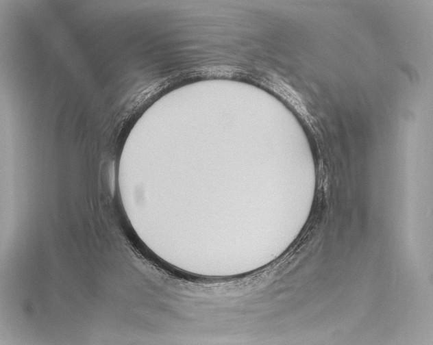 X0000115560013200912041102