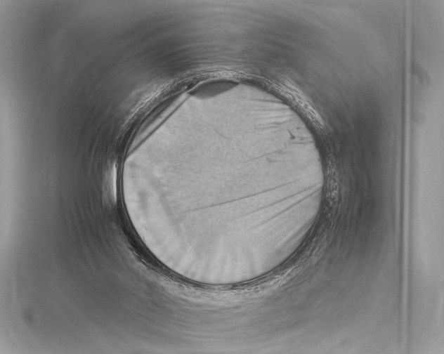 X0000115560014200912041102