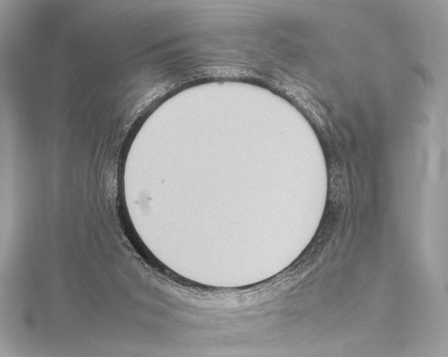 X0000115560015200912041102