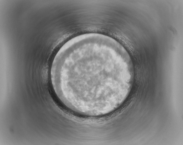 X0000115560016200912041102