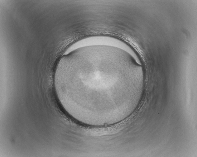 X0000115560017200912041102