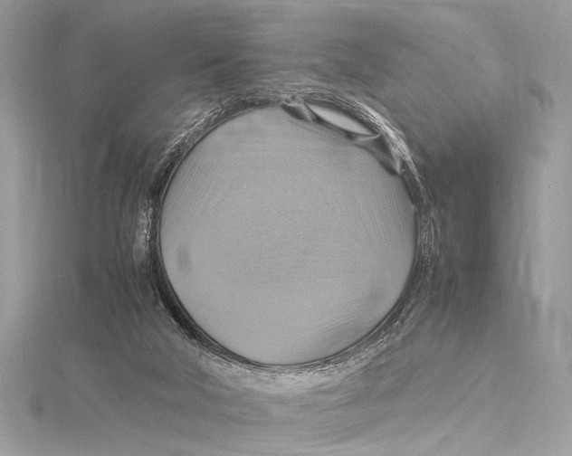 X0000115560018200912041102