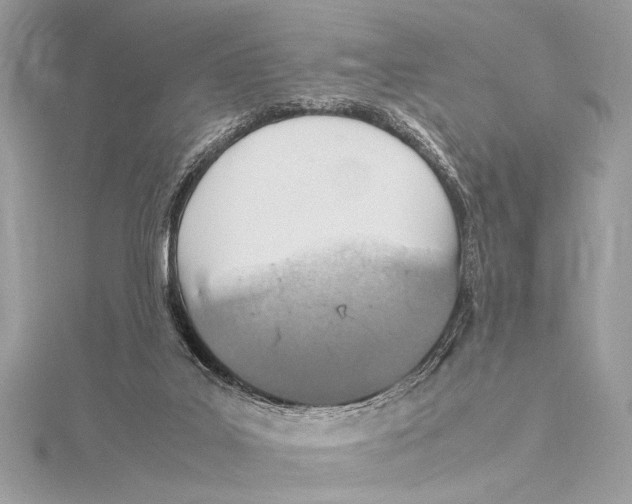 X0000115560019200912041102