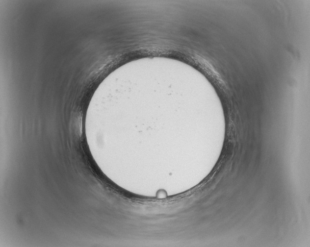 X0000115560021200912041102