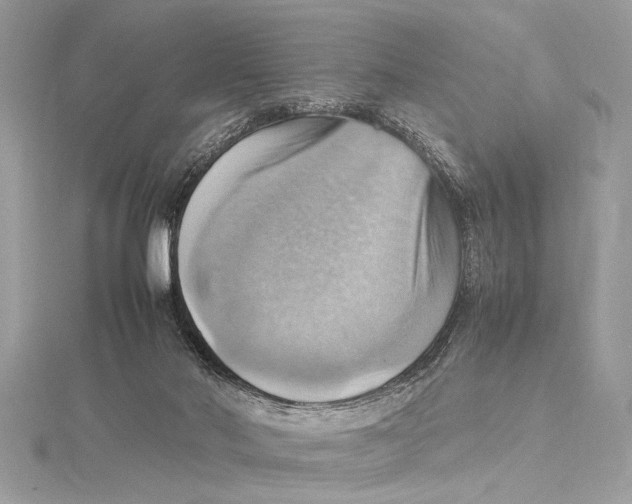 X0000115560022200912041102