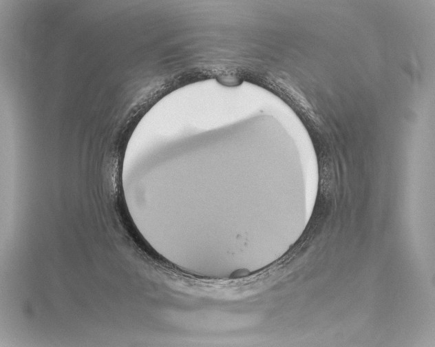 X0000115560023200912041102