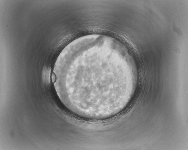 X0000115560024200912041102