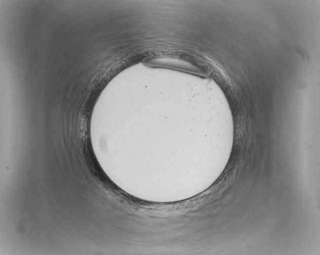 X0000115560025200912041102