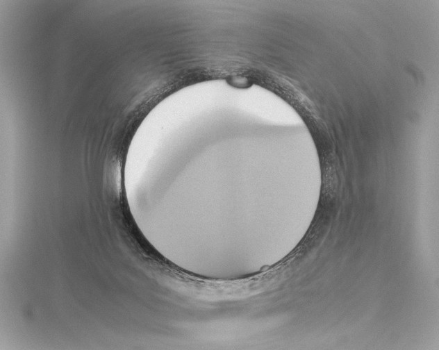 X0000115560027200912041102