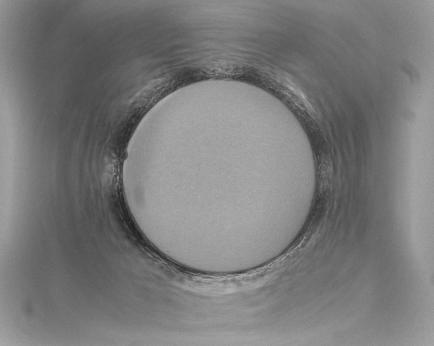 X0000115560029200912041102