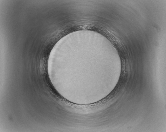 X0000115560030200912041102