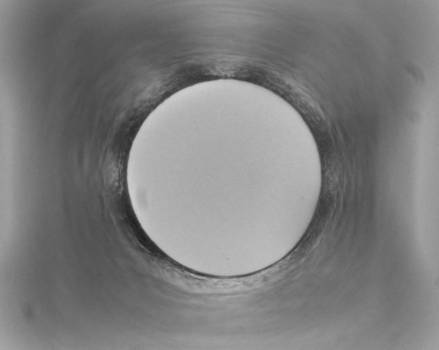 X0000115560031200912041102