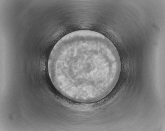 X0000115560032200912041102