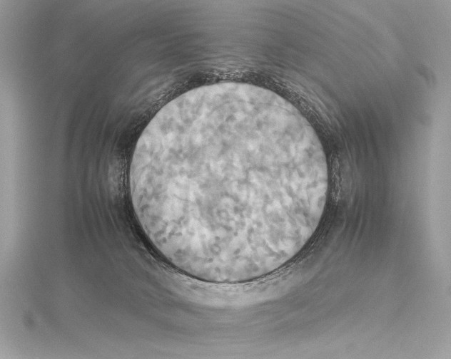 X0000115560034200912041102