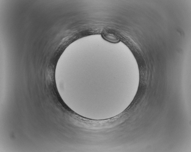 X0000115560035200912041102