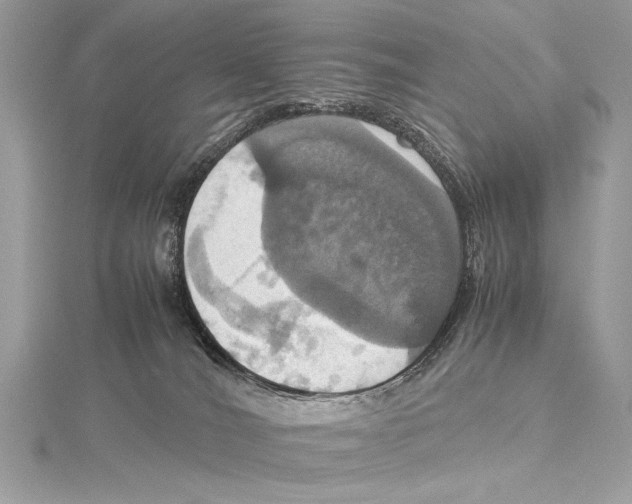 X0000115560036200912041102