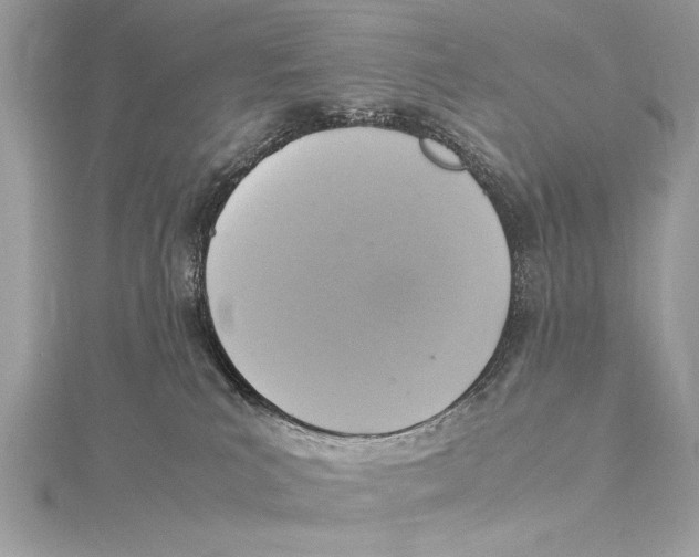 X0000115560039200912041102