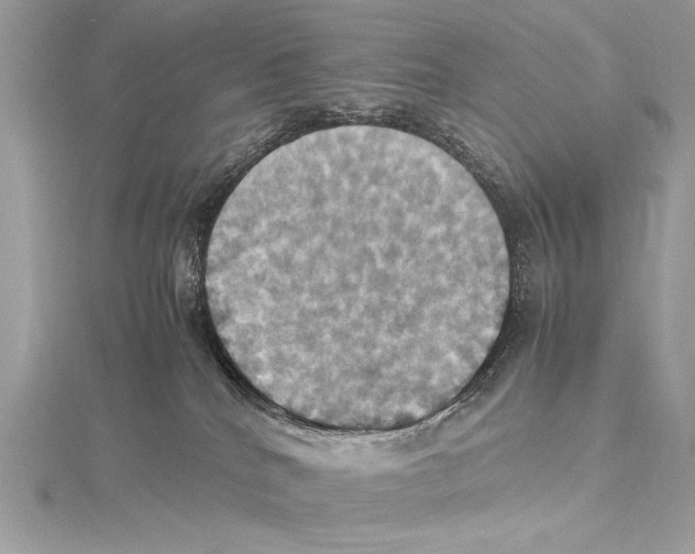 X0000115560040200912041102