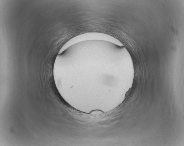 X0000115560043200912041102