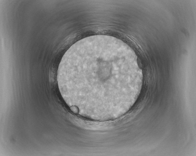 X0000115560044200912041102