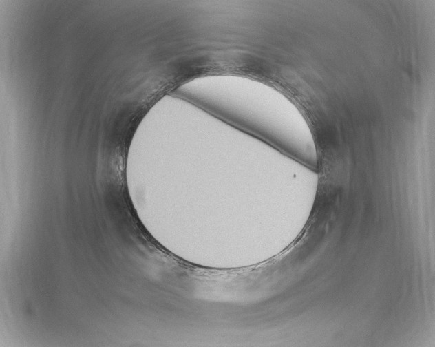 X0000115560045200912041102