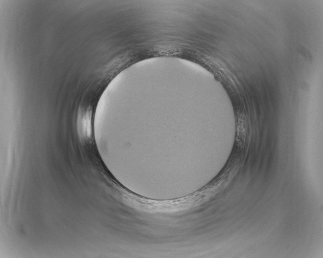 X0000115560046200912041102