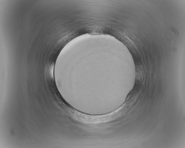 X0000115560047200912041102