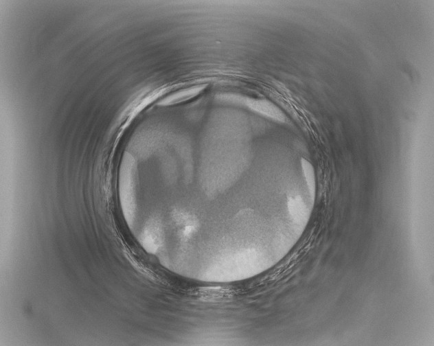 X0000115560050200912041101