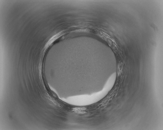 X0000115560051200912041101