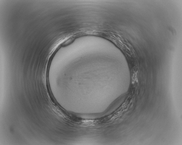 X0000115560052200912041101