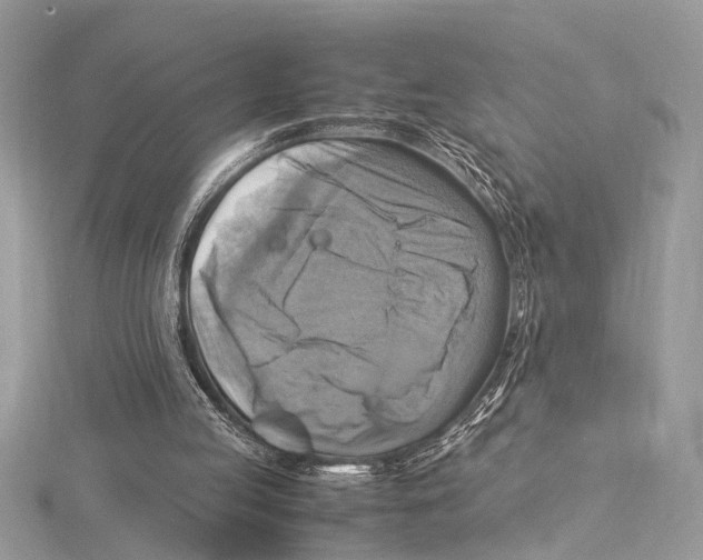 X0000115560053200912041101