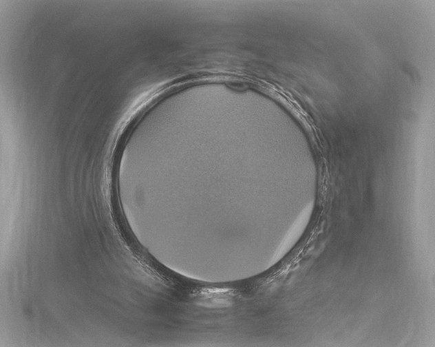 X0000115560055200912041101