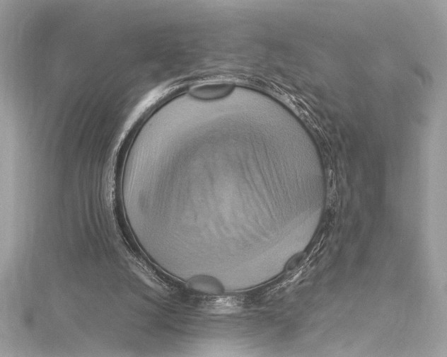 X0000115560056200912041101