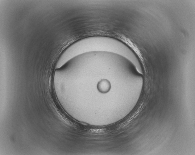 X0000115560057200912041101