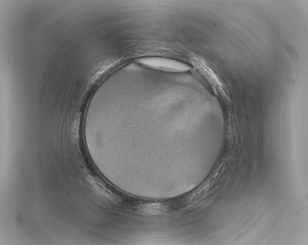 X0000115560058200912041101