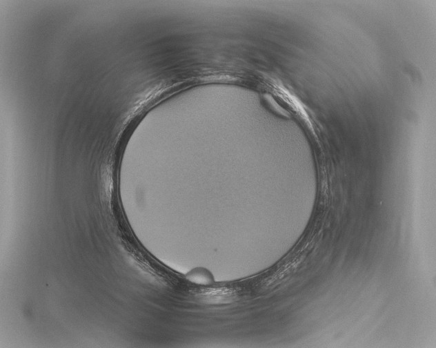 X0000115560059200912041101